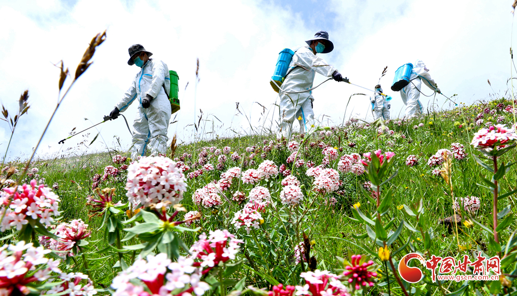 “三北”工程林草濕荒一體化保護修復(fù)鏖戰(zhàn)正酣