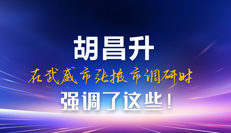 圖解|胡昌升在武威市張掖市調(diào)研時強調(diào)這些！