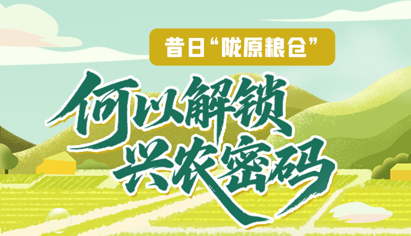【理響中國·話隴點(diǎn)睛（3）】昔日“隴原糧倉”，何以解鎖“興農(nóng)密碼”