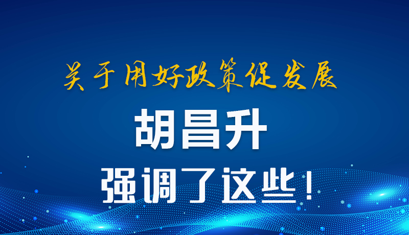 圖解|關(guān)于用好政策促發(fā)展 胡昌升強調(diào)了這些！