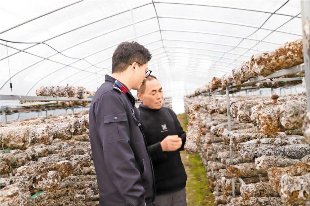 藏藍(lán)身影護(hù)春耕