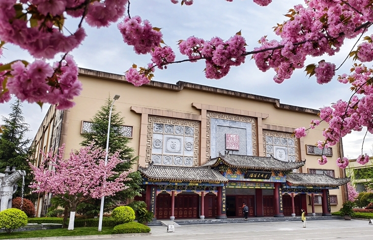 圖集｜“櫻”你而美，共赴金徽春日之約