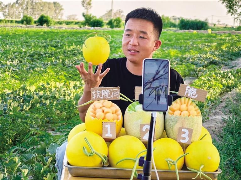 大漠深處，青春如梭梭般扎根